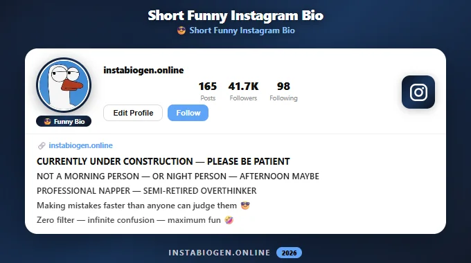 Short Funny Instagram Bios